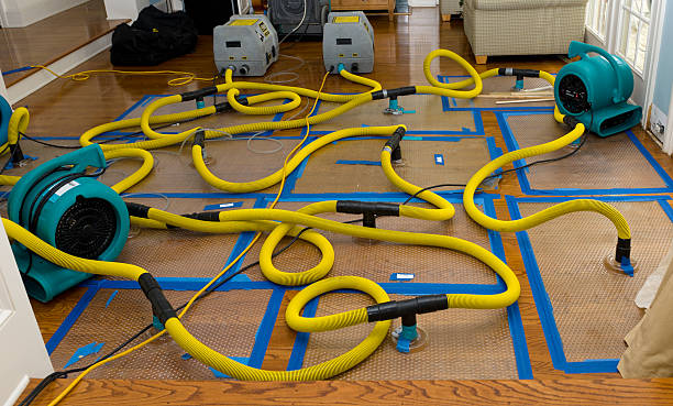 Professional Sewage Cleanup technician working in Elgin, TX
